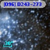 [O96] D243-273