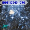 [O96] D243-276