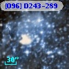 [O96] D243-289