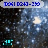 [O96] D243-299