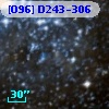 [O96] D243-306