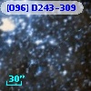 [O96] D243-309