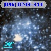 [O96] D243-314