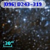 [O96] D243-319