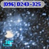 [O96] D243-325