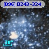 [O96] D243-324