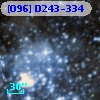 [O96] D243-334