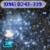 [O96] D243-339