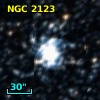 NGC  2123