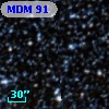 MDM  91