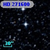 HD 271600