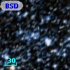 BSDL 2455