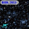 BSDL 2853