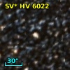 SV* HV  6022