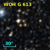 WOH G 613