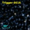 Trigger  6616