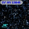 SV* HV 13048