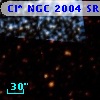 Cl* NGC 2004    SRD     614