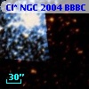 Cl* NGC 2004   BBBC     111