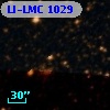 LI-LMC 1029