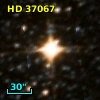 HD  37067