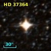 HD  37364