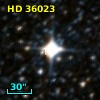 HD  36023