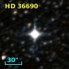 HD  36690