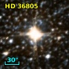 HD  36805