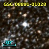 GSC 08891-01028