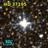 HD  37195