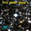 TYC 8891-3604-1