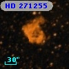 HD 271255