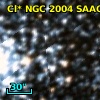 Cl* NGC 2004   SAAO     215