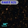 FAUST  825