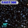 FAUST  900