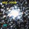 NGC  2004