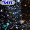 TRM  66