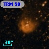 TRM  80