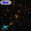 TRM  81