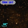 TRM 107