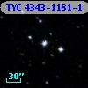 TYC 4343-1181-1