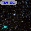TRM 131
