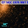 Cl* NGC 1978    WBT       9