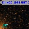 Cl* NGC 1978    WBT      21
