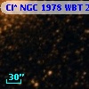 Cl* NGC 1978    WBT      25