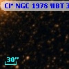 Cl* NGC 1978    WBT      30