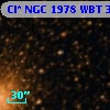 Cl* NGC 1978    WBT      31