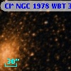 Cl* NGC 1978    WBT      33