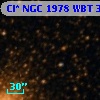 Cl* NGC 1978    WBT      36